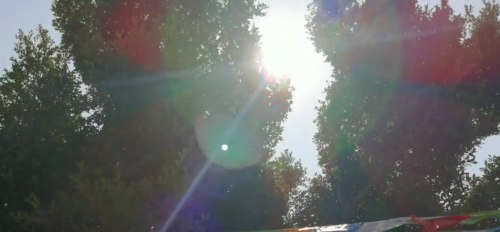 1616201024(1).png