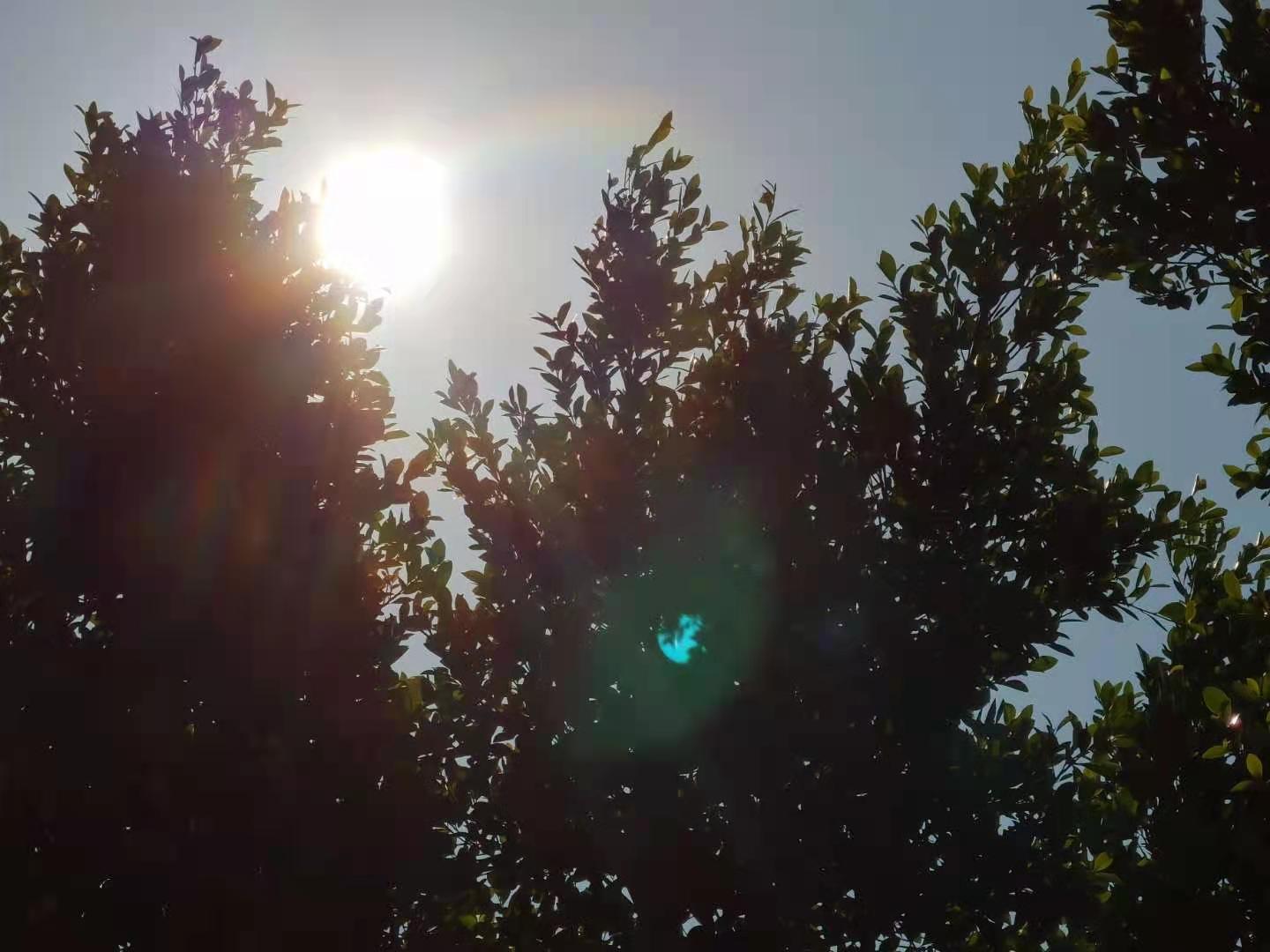 abc237bf8fcbbdf97ede0189ee7479b.jpg